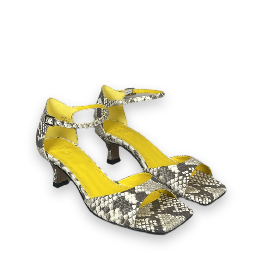 toral tl rubby pumps python bp 3z4 840 std6ua