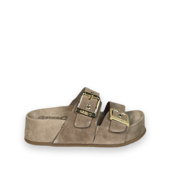 colours of california dune02 slippers beige bp 3z9 85l stf5mc