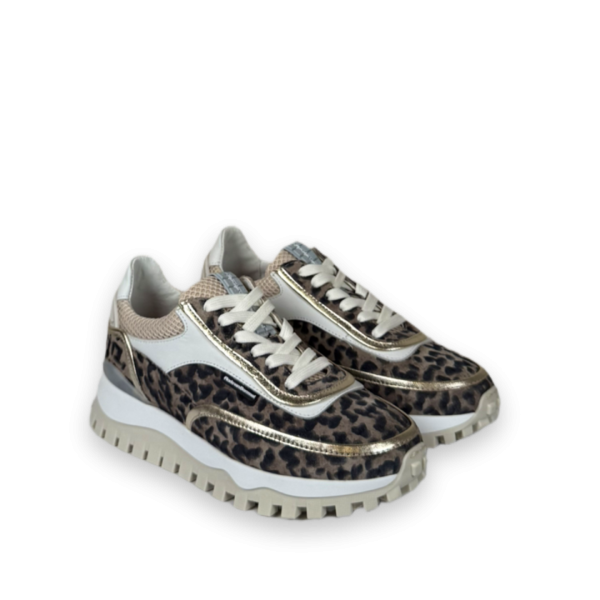 floris van bommel grommi 02 05 sneakers taupe bp 3r5 89a sycqi5