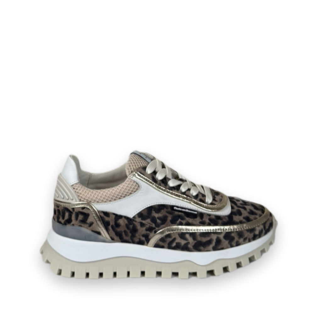 floris van bommel grommi 02 05 sneakers taupe bp 3r5 89b sycqi5