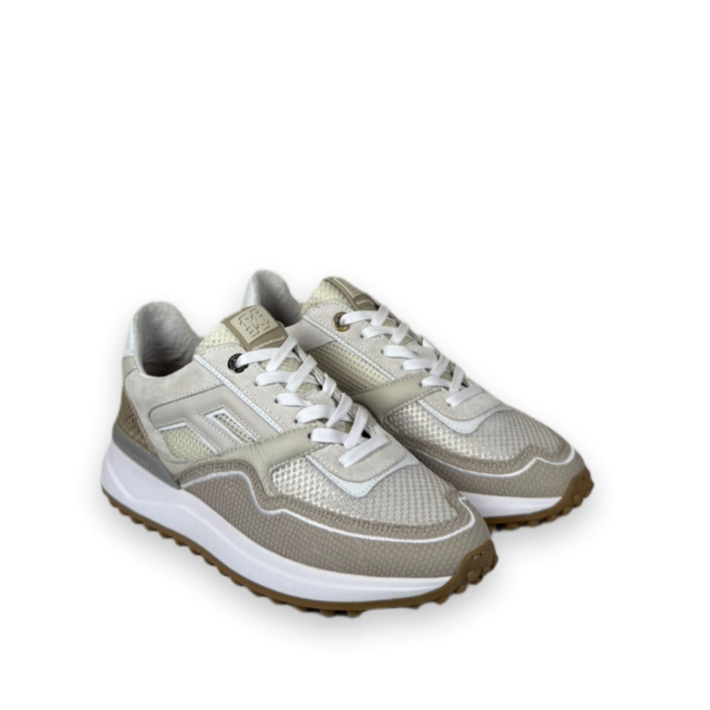 floris van bommel noppi 36 03 sneakers taupe bp 3or 898 sycqfe