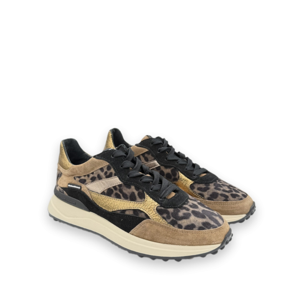 floris van bommel noppi 41 02 sneakers tijgerprint bp 4d4 8m8 t6aanj