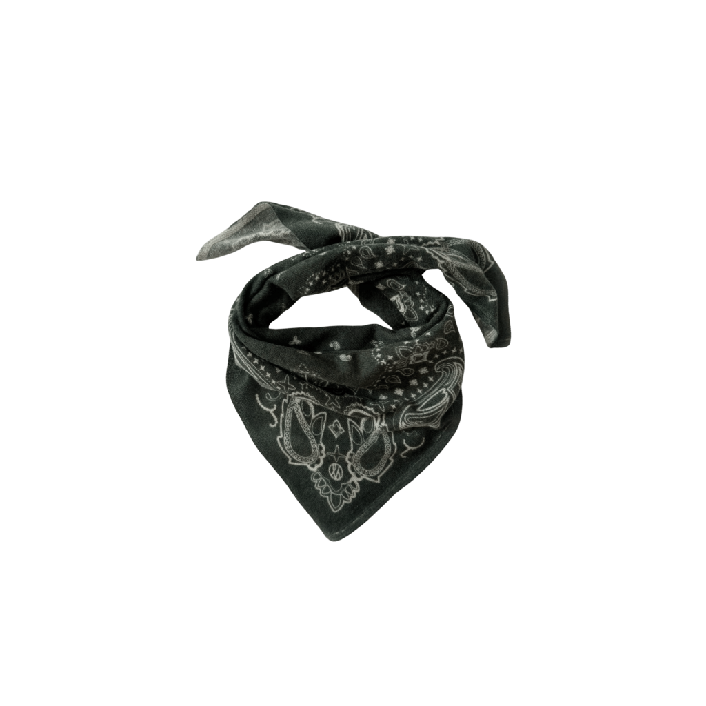 lescarf paisley scarf shawl groen bp 58f afr tmaben
